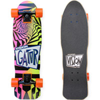 VISION Cruiser Skateboard